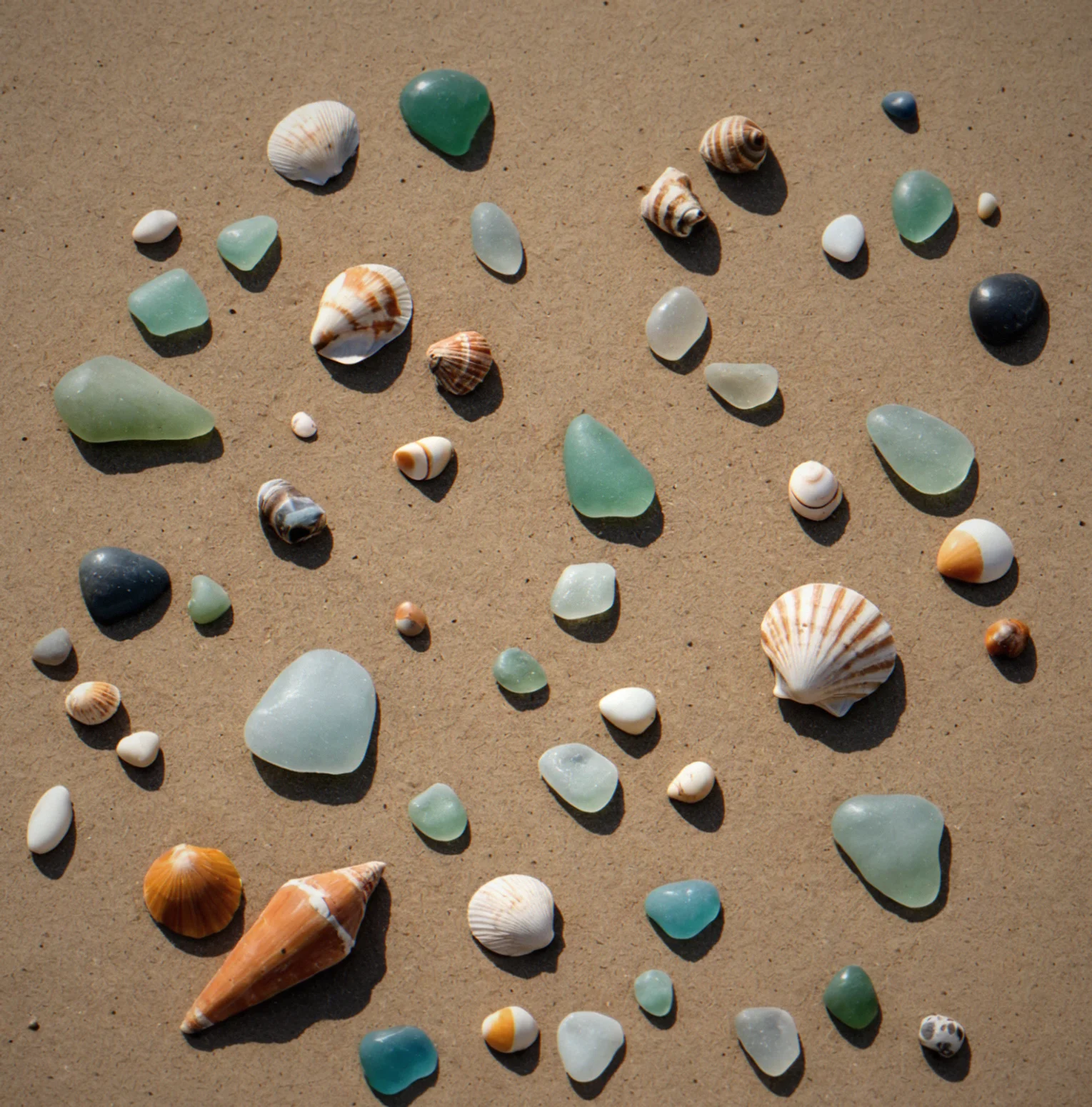 A wide expanse of empty sand with subtle texture variations, a single piece of kelp and the horizon stretching far
